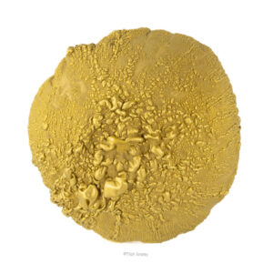 Untitled (Golden Rain Drop)